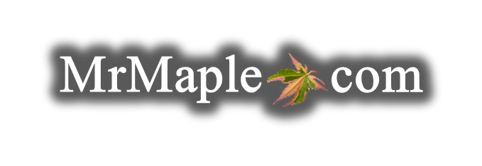 Mr Maple